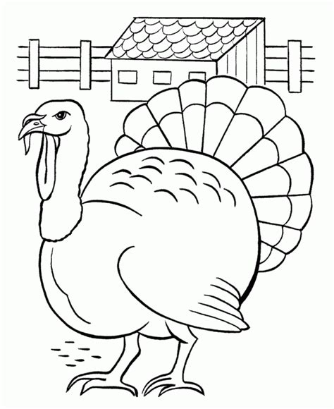 printable thanksgiving coloring page  kids   cute cartoon turkey