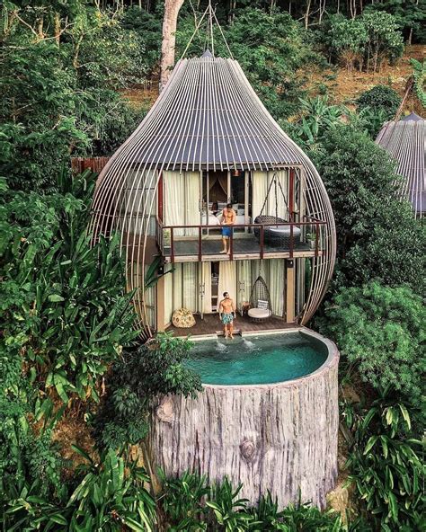 fantastic design   forest hotel phuket province thailand cozyplaces cool tree houses