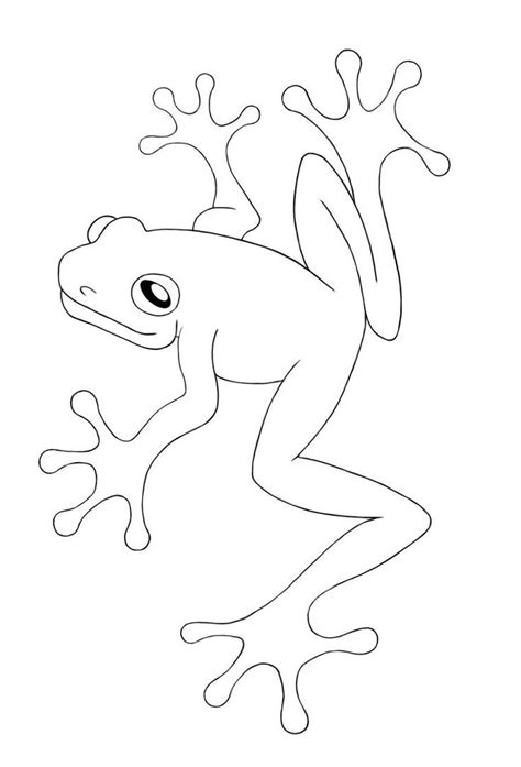 images  frogs coloring pages  pinterest coloring
