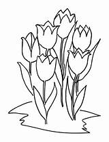 Coloring Tulip Tulips Pages Six Flowers Drawing Printable Flower Colouring Kids sketch template