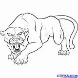 Panther Drawing Animal Coloring Pages Spiderman Kids Pantera Drawings Outline Print Dibujo Easy Draw Negra Colouring Panthers Printable Head Animals sketch template