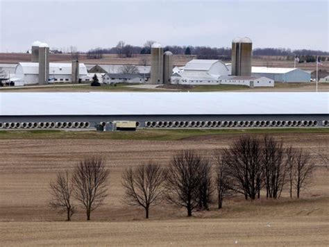 Massive Dairy Farms And Locals Debate Can Manure From So Many Cattle