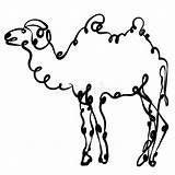 Camel Humps Winding Bactrian sketch template