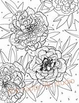 Peony Peonies sketch template