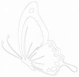 Butterfly Outline Applique Patterns Printable Coloring sketch template