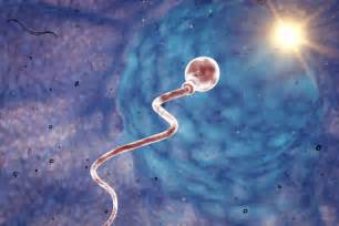 How Long Sperm Can Live Outside The Body Men S Health