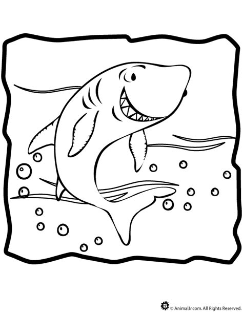 shark coloring page woo jr kids activities