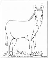 Donkey Domestic Animals Coloring Pages Animal Drawing Kids Outline Shrek Pet Pitara Global Colouring Printable Warming Color Drawings Getdrawings Craft sketch template