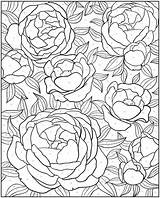 Coloring Color Number Pages Adult Numbers Paint Dover Book Adults Flower Doverpublications Publications Welcome Floral Printable Books Colouring Samples Sheets sketch template