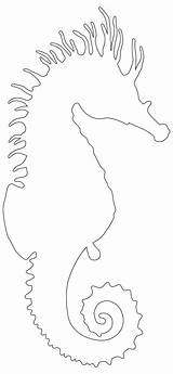 Outline Seahorse Coloring Printable Fish sketch template