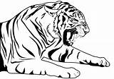 Tiger Coloring Tigers Pages Printable Supercoloring Drawing sketch template
