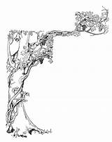 Corner Vintage Grape Designs Vine Tree Drawing Illustration Decorative Ivy Clipart Antique Vines Simple Cliparts Clip Graphic Transparent Drawings Honeycomb sketch template