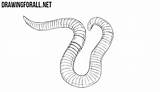 Worm Draw Drawing Earthworm Worms Drawings Realistic Stepan Ayvazyan sketch template