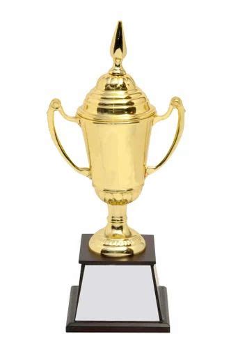 brass cup type championship trophy packaging type box  rs piece