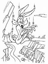 Looney Tunes Wile Abismo Caindo Ausmalbilder Correcaminos Toons Coiote Wylie Tudodesenhos Bros Coloringhome sketch template