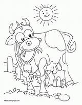 Coloring Cow Pages Printable Popular sketch template