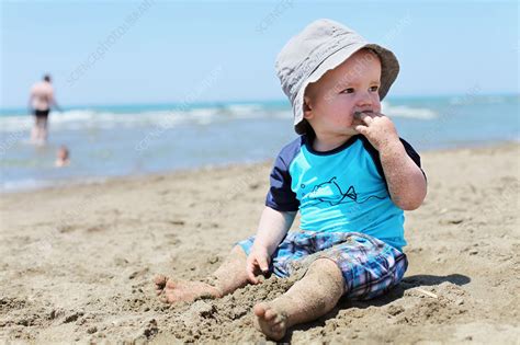 toddler eating sand  beach stock image  science photo