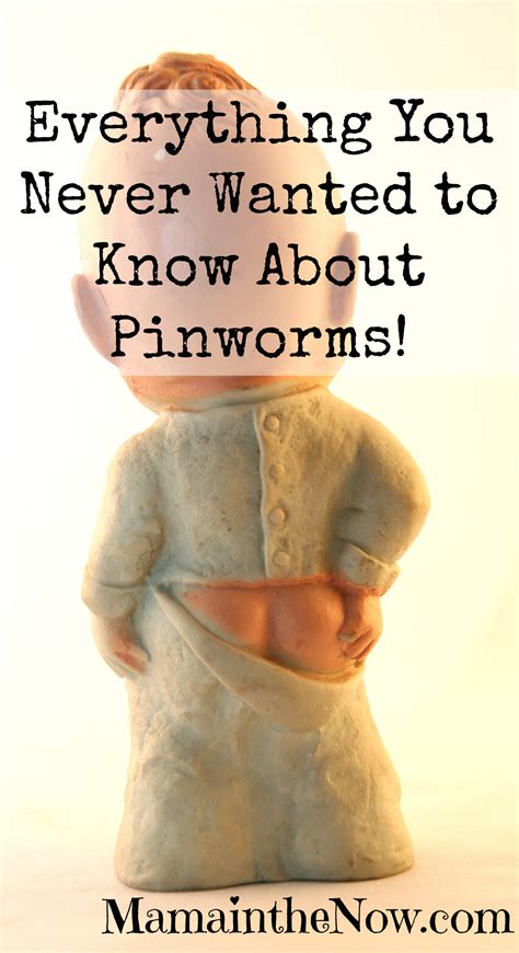 Get Rid Of Pinworms Naturally