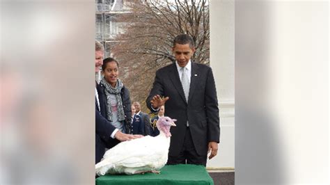 president obama pardons this year s lucky turkey courage fox news