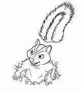 Coloring Hedge Pages Over Hammy Squirrel Hibernation Popular Print sketch template
