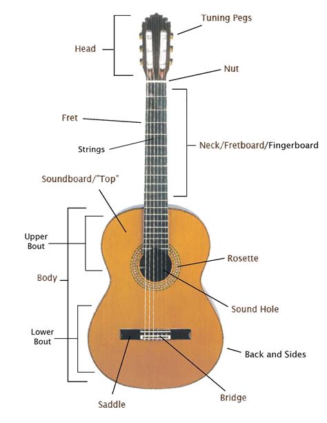 basic knowledge  guitar