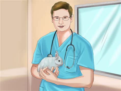 how to determine the sex of a rabbit 10 steps with pictures
