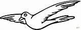 Volo Piccione Disegno Uccelli Palomas Paloma Volano Pigeon Disegnare Colomba Animali sketch template