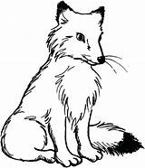 Fox Coloring Head Pages Baby Getcolorings sketch template