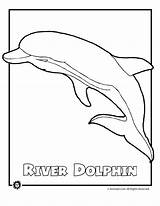 Dolphin Coloring River Amazon Pages Animals Animal Endangered Colouring Printable Color Drawing Sheet Kids Sea Clipart Woojr Print Children Activities sketch template
