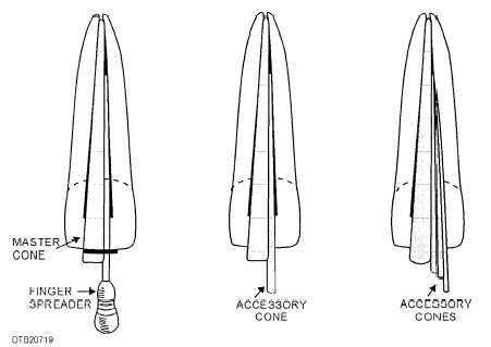 steps  filling  root canal  master  accessory cones
