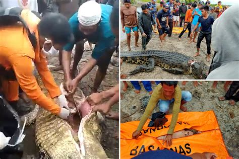 horrifying moment woman s body is cut out of crocodile s stomach