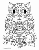 Chouette Imprimer Mandalas Animal Hibou Animaux Jess Volinski Animales Eule Template Malvorlage Boyama Malen Kaynak Malbuch Ausdrucken Erwachsene Bitkitohumu sketch template