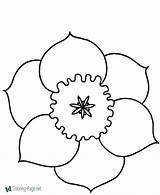 Coloring Flower Pages Color Flowers Kids Printable Sheets Kid Books Animal Raisingourkids Bulletin Board Print Preschool Outs Cut Printing Popular sketch template