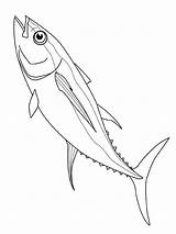 Fisch Malvorlage Vissen Stimmen sketch template