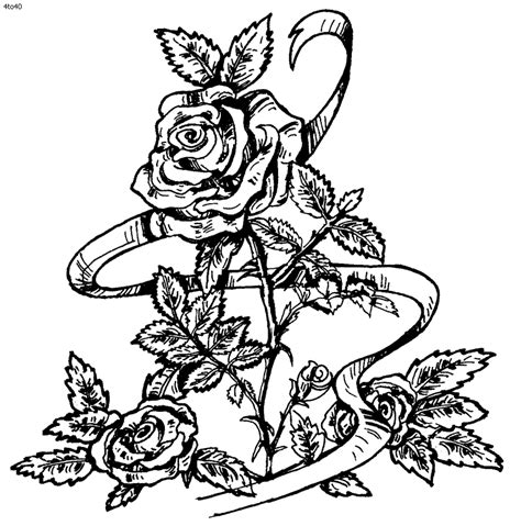 coloring roses pictures coloring pages beauty style pinterest