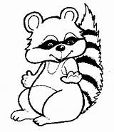 Coloring Pages Raccoon Printable Racoon Mc2 Project Raccoons Template Animals Sheets Kissing Hand Animal Baby Choose Board Print sketch template