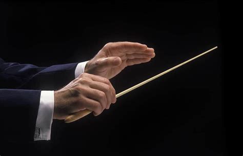 orchestra conductor holding baton side view close   hands