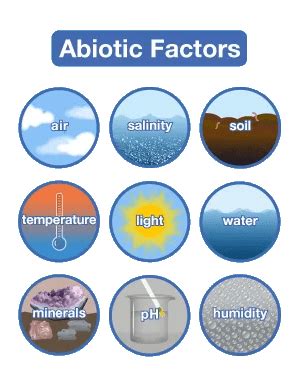 ecosystem abiotic factors guru