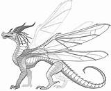 Rainwing Hivewing Hybrid Wings Fire Base Coloring Pages Leafwing Nightwing Drawings Dragon Icewing Realistic sketch template