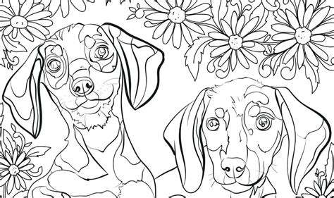 newfoundland dog coloring page newfoundland dog coloring page