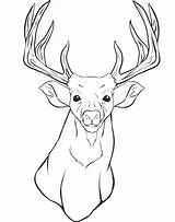 Deer Coloring Head Pages Printable Buck Mule Animal Drawing Silhouette Whitetail Adult Outline Antler Kids Print Skull Color Face Reindeer sketch template