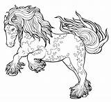 Tinker Horse Runs Trot Coloring Book sketch template
