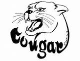 Cougars Printablefreecoloring Couger Coloriages sketch template