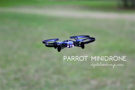 parrot minidrones