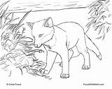 Coloring Book Fox Red Crista Forest Animals sketch template