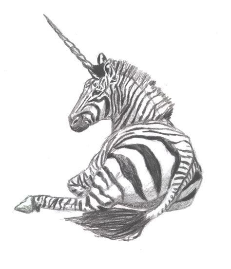 zebra unicorn  lil dose  deviantart