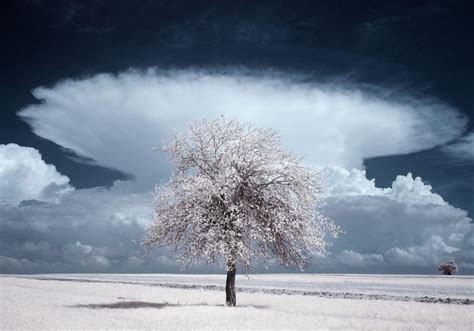 the ir world by photographer in poland amazing beauty of