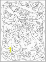 Pages Coloring Dover Sampler Animal Color Divyajanani sketch template