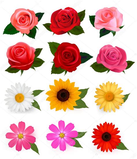 big set  beautiful colorful flowers vector illustration stock