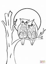 Coloring Owls Couple Pages Printable Cartoon Owl Drawing Valentine Animals Print sketch template